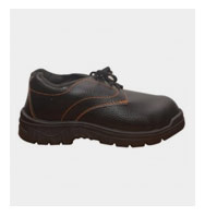 Safari Oxford Safety Shoes